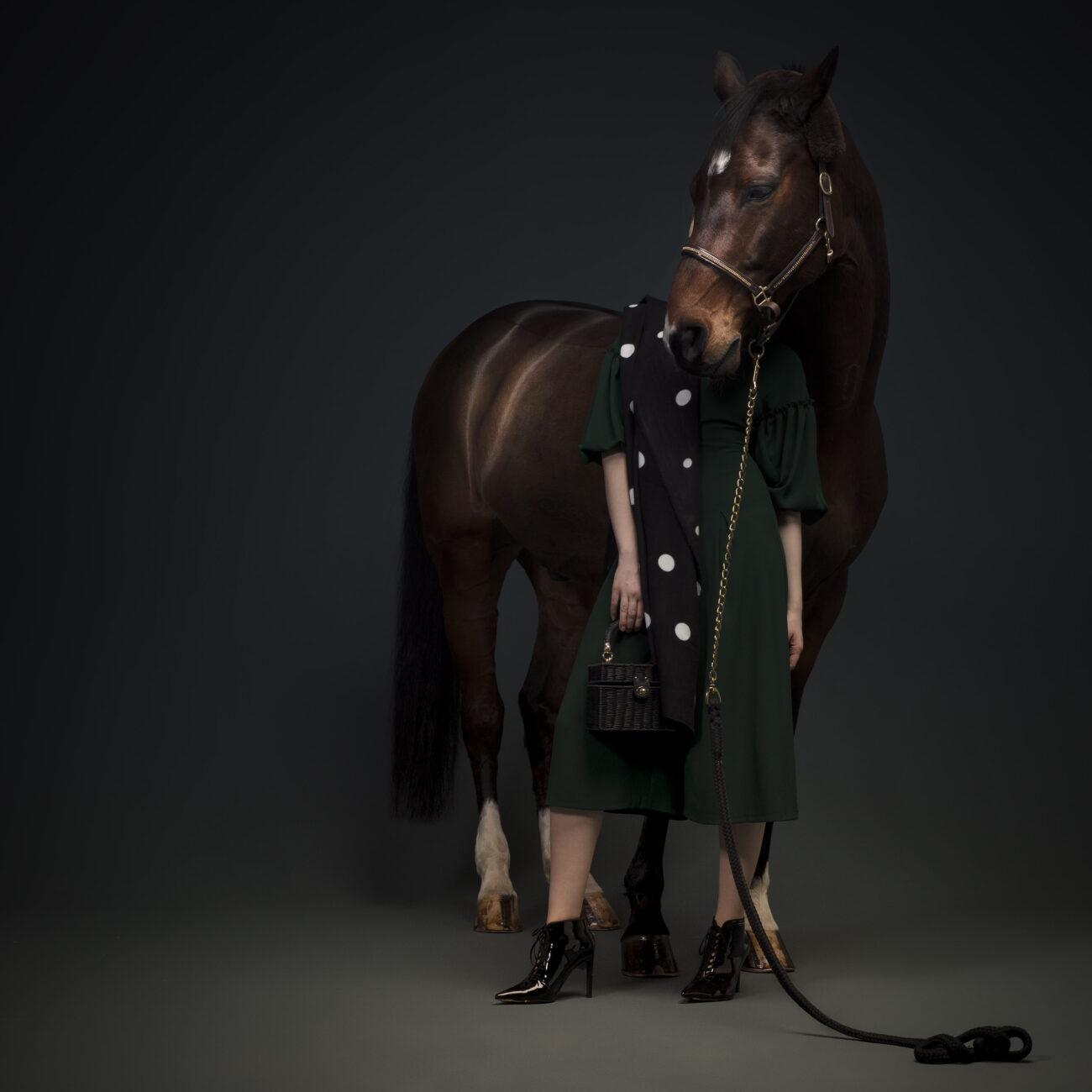 Editorial Photography | Serie Horse | Studioaufnahme mit Pferd und Model 005